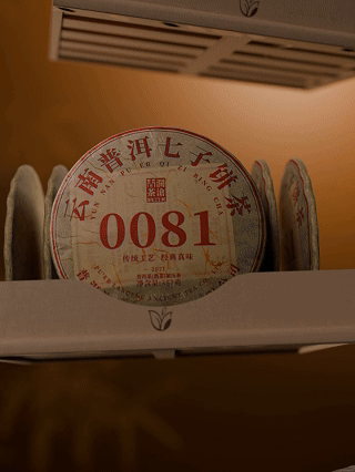 8月17日(7).gif